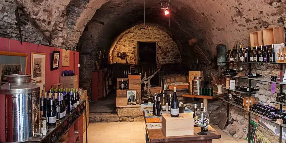 Domaine De La Tour Penedesses